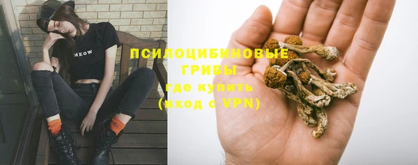 мяу мяу кристалл Горняк
