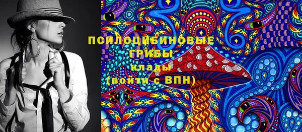 дмт Горно-Алтайск